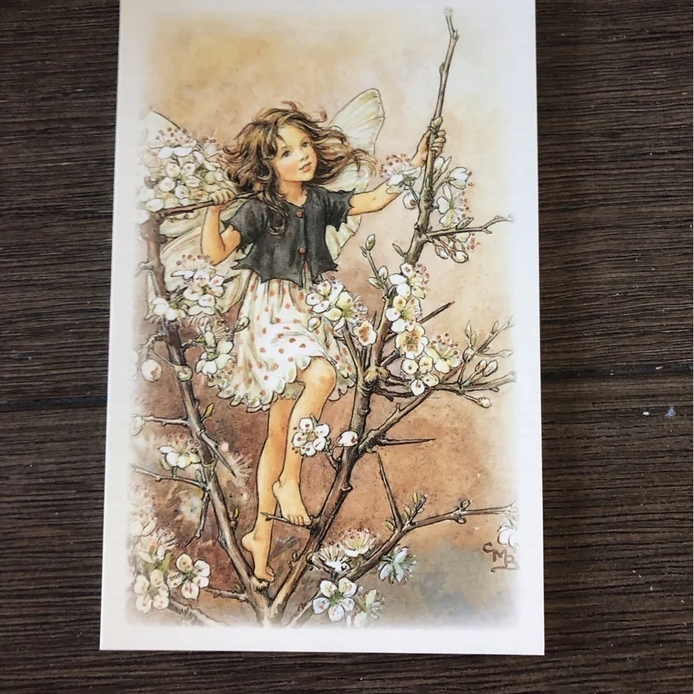 Garden Flower Fairies by: Cicely Mary Barker postcard set #8